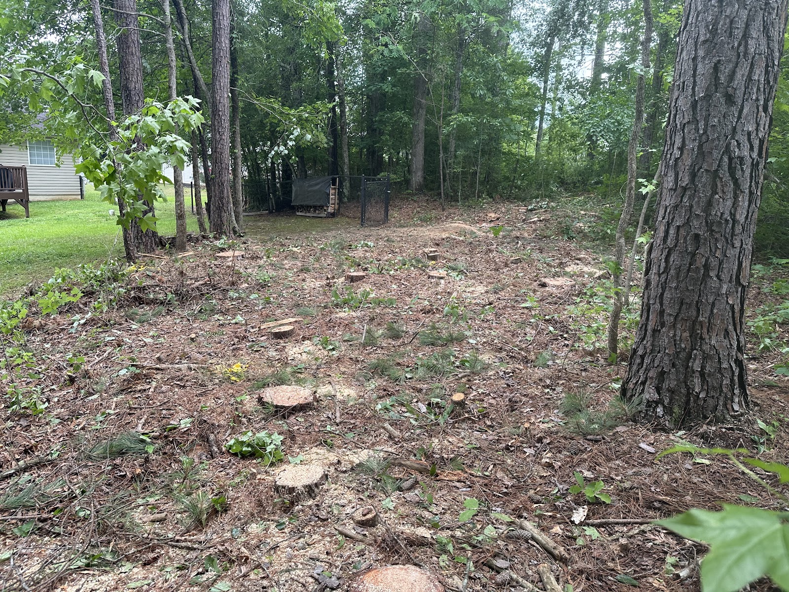 A back lot cleared of trees and brush