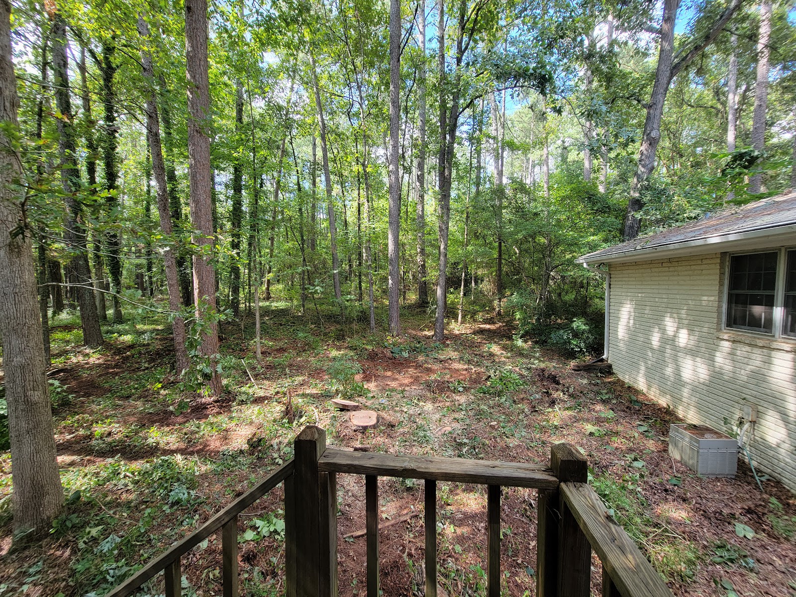 A wooded backyard cleaned up beside a home