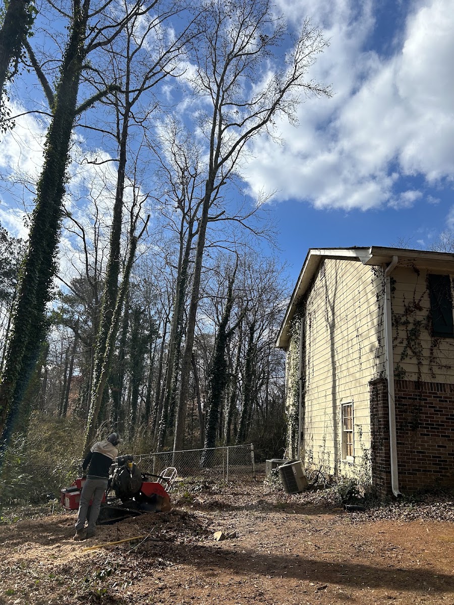 A Reyes crew member running a stump grinder beside tall trees