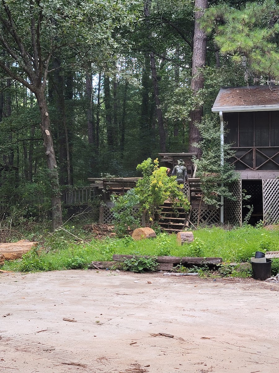 A Reyes crew member clearing an overgrown wooded backyard beside a deck